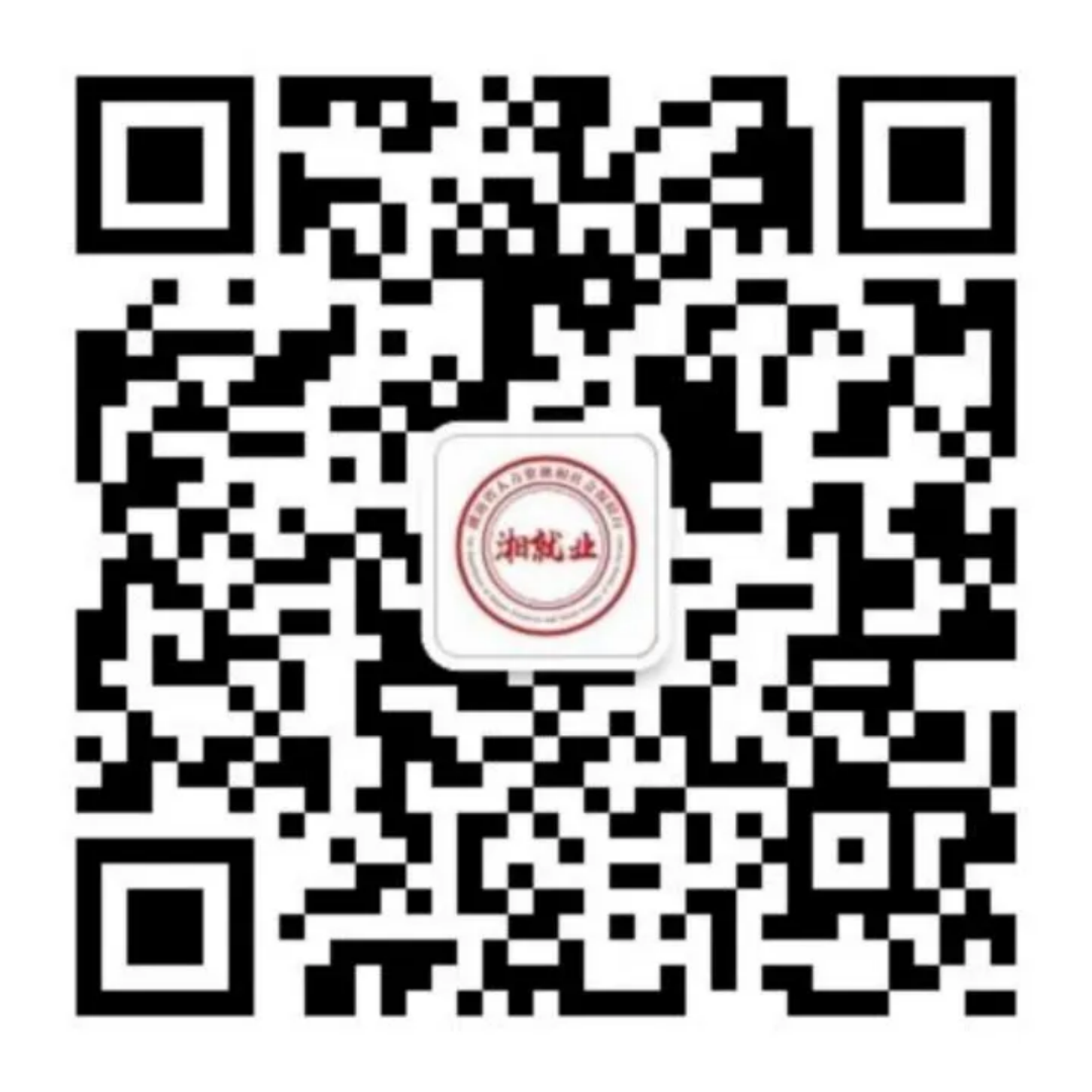 职引未来筑梦青春2024年湖南省“百日千万招聘专项行动”火热进行中(图5)