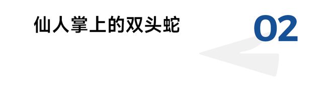龙宇和她的20个朋友在墨西哥(图4)