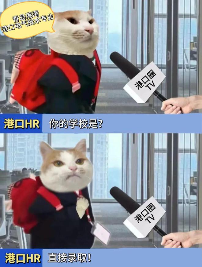 想在港口找工作要满足哪些条件？港口圈(图2)