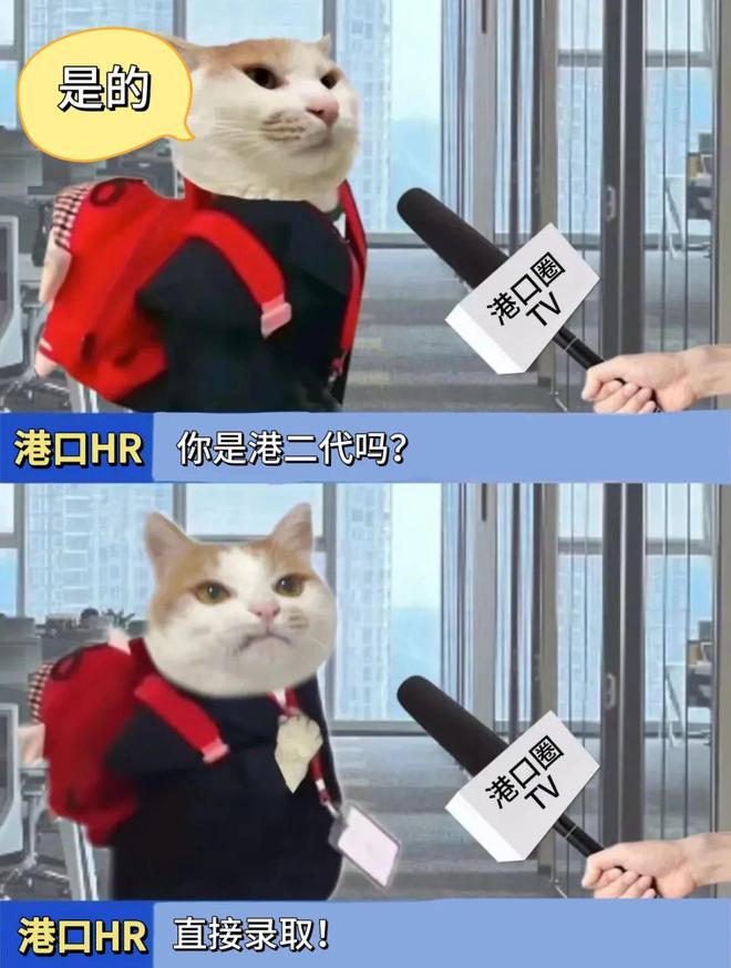 想在港口找工作要满足哪些条件？港口圈(图1)