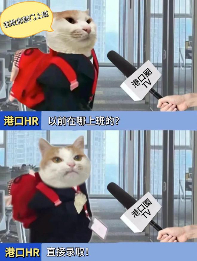 想在港口找工作要满足哪些条件？港口圈(图3)