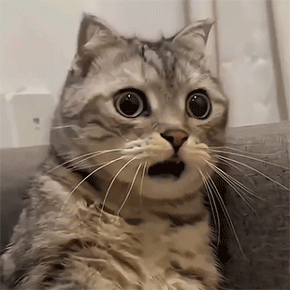 哪吒2票房获得影史第一DeepSeek揭秘导演饺子的税负竟如此高!(图2)