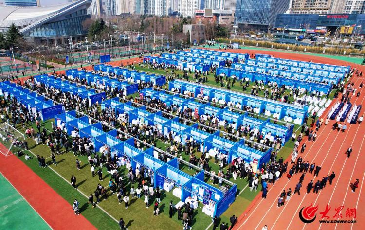 青岛西海岸新区人力资源和社会保障局获评2024年山东省高校毕业生就业服务攻坚行动突出单位(图3)