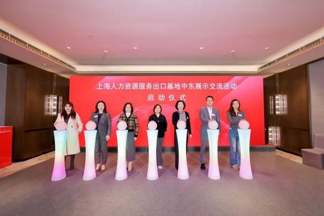 2025年首季“梅园论剑”聚焦海外拓展点燃人力资源服务“出海”新引擎(图2)