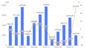 完美世界2024年及2025Q1财报解读：业绩触底反弹聚焦成效显现(图1)
