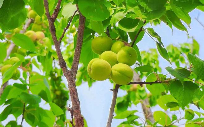 辣汤早新闻｜高温报告徐州人出门注意！(图3)