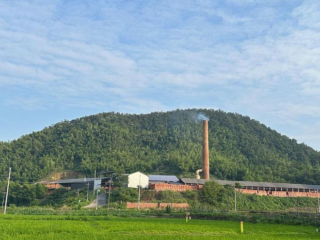 5名疑似智障人员从砖厂被解救临湘警方:暂未发现其他智障者(图2)