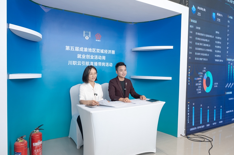 四川人力资源服务业激活发展新动能(图4)