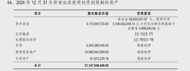盐城东方拟注册20亿超短融：2024年资产负债率达6216%(图7)