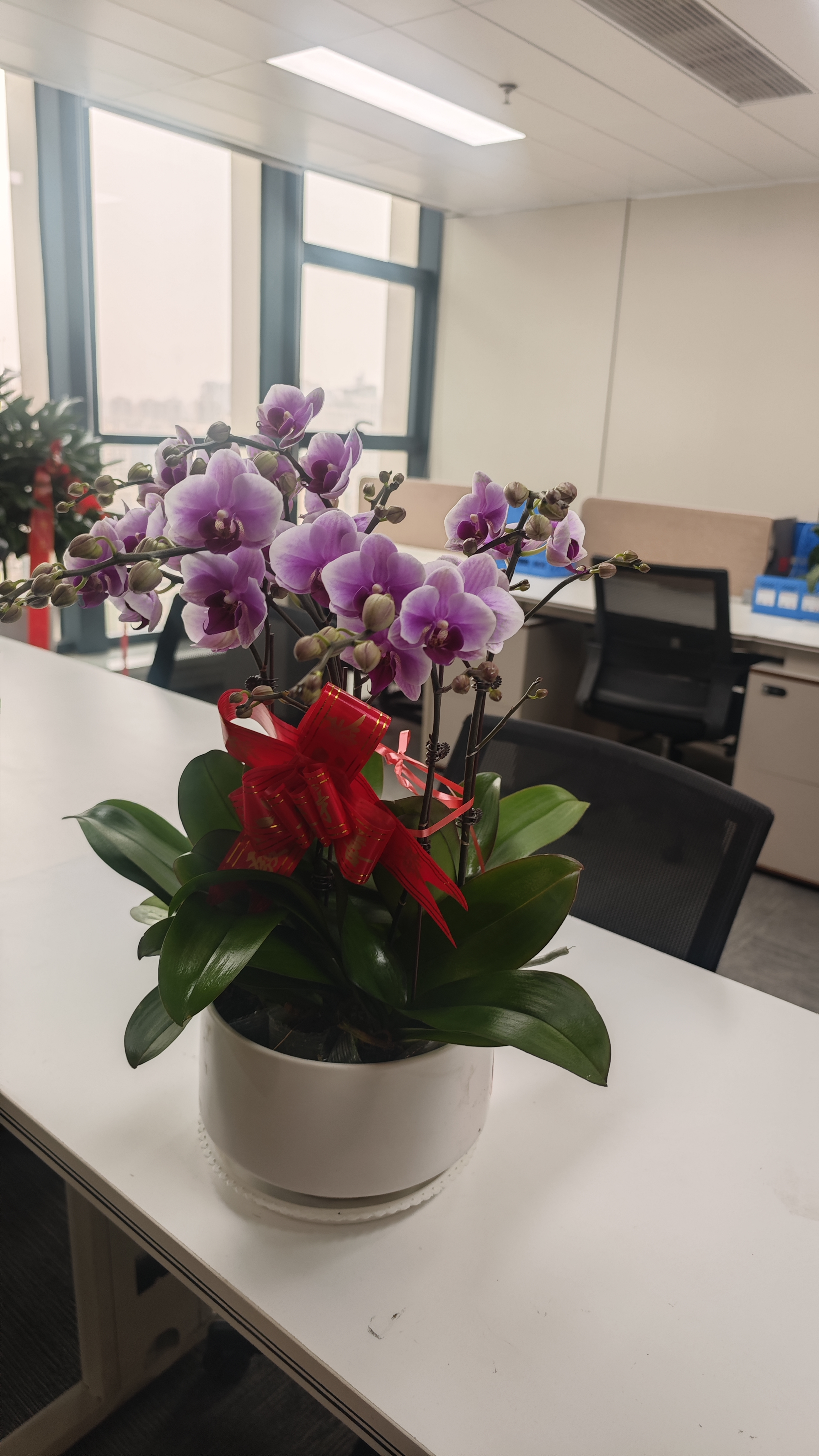 2024外贸建站服务商深度测评:陕西企业如何选择数字化出海伙伴?(图1)