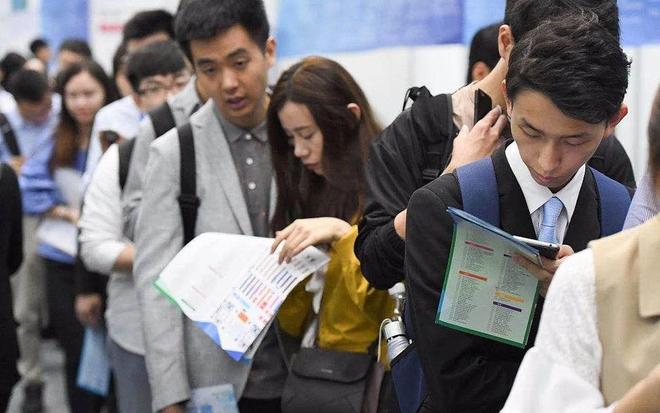 2024就业形势有多严峻？预计1179万大学生考公考编的只增不减！(图2)