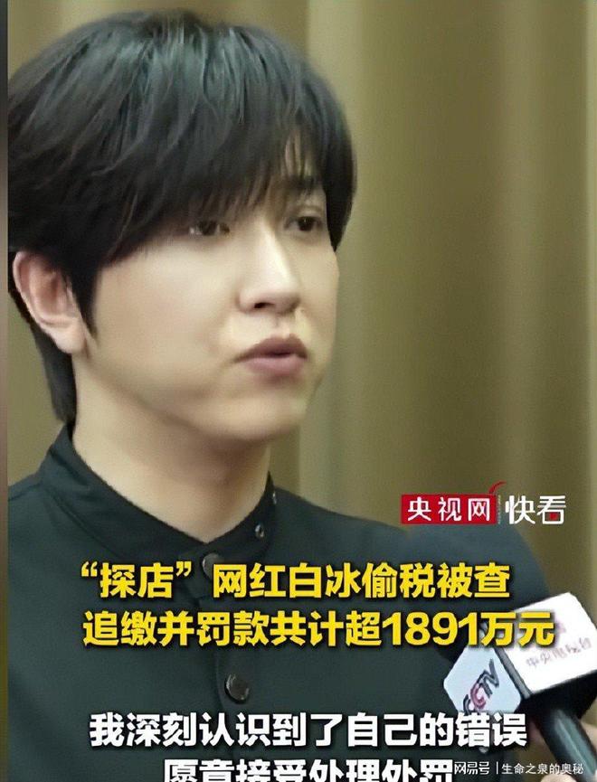 国家出手：网红白冰偷税被追缴1890万(图14)